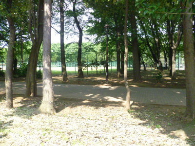 park. Johoku 30m to Central Park (park)