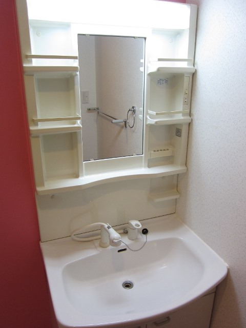 Washroom. Vanity is with shower