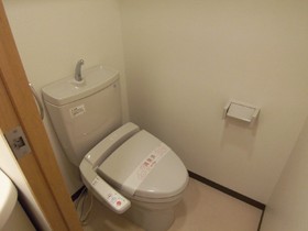 Toilet. Toilet (separate room reference photograph)