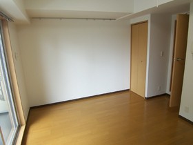 Living and room. Room (separate room reference photograph)