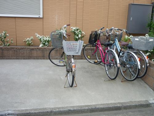 Other common areas. Bicycle-parking space