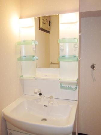 Other. Shampoo dresser