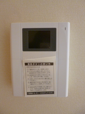 Security. TV monitor phone