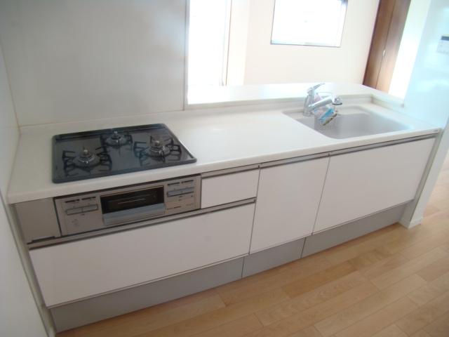 Kitchen. Indoor (11 May 2013) Shooting