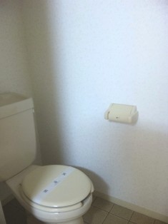 Other. Toilet