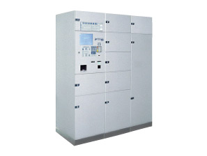 Other.  [Full-time home delivery locker] (Same specifications)