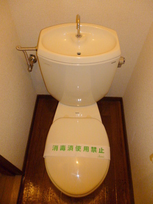 Toilet. Toilet