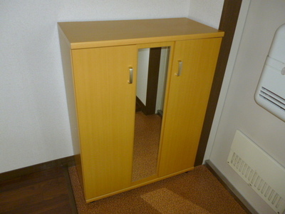 Entrance. Mirror with shoes BOX