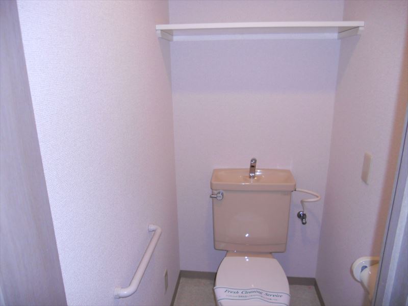 Toilet. Toilet with storage shelf