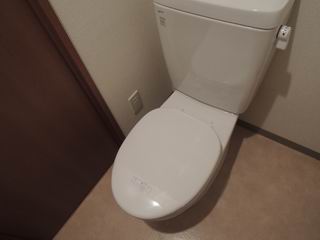 Other. Toilet