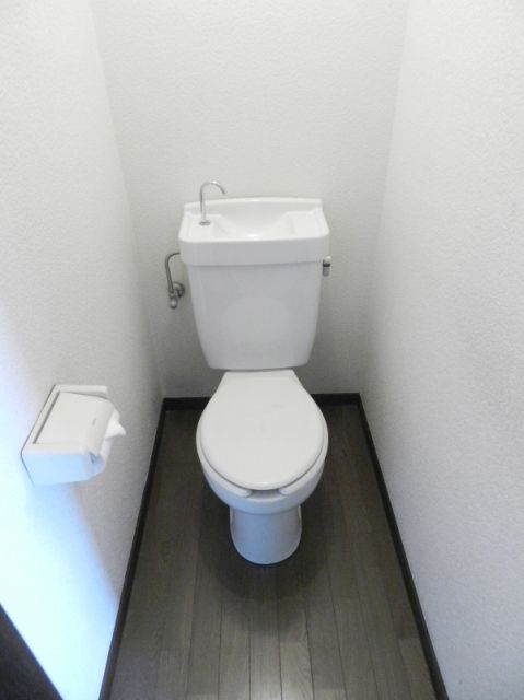 Toilet. Toilet