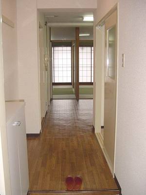 Entrance. Corridor