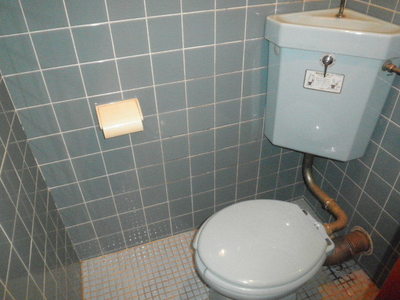 Toilet. Western-style toilet