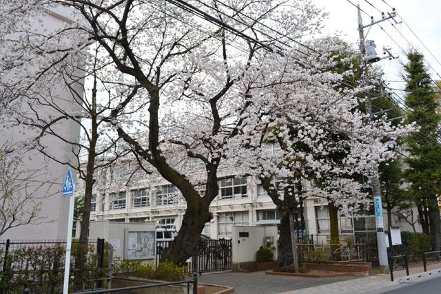 Primary school. Until the municipal Nakamura elementary school 155m