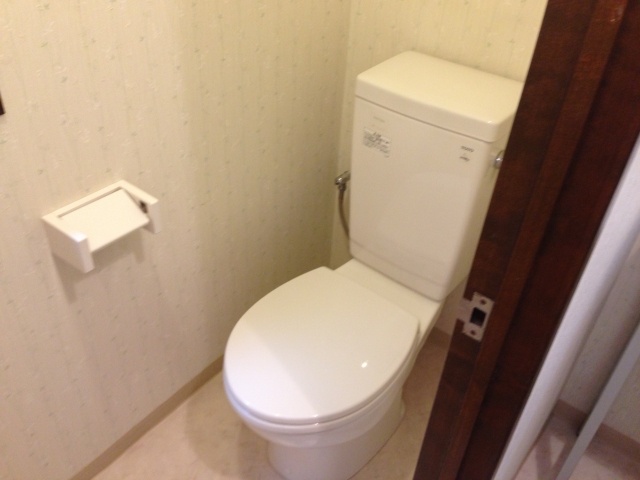 Toilet. It is a clean toilet!