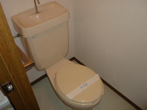 Toilet. Toilet