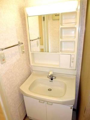 Washroom. Bathroom vanity