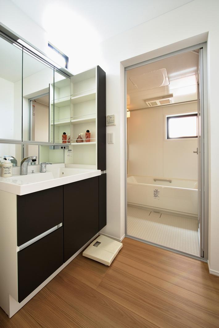 Wash basin, toilet. Indoor (10 May 2013) Shooting