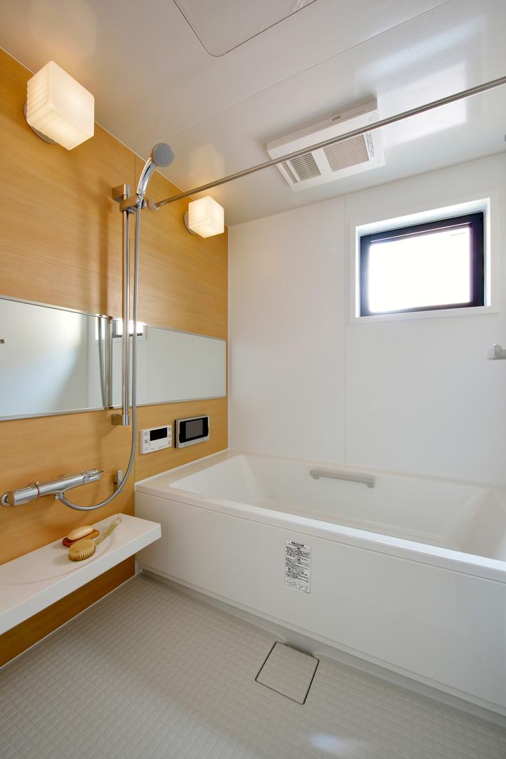 Bathroom. Indoor (10 May 2013) Shooting