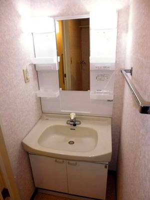 Washroom. Bathroom vanity