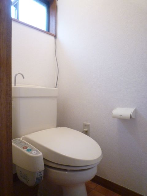 Toilet. Western-style toilet