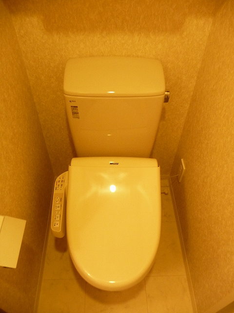 Toilet. Washlet with function