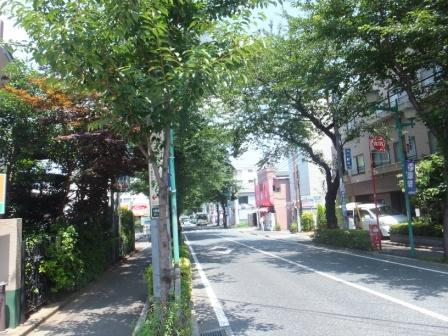 Other. Oizumigakuen street row of cherry blossom trees