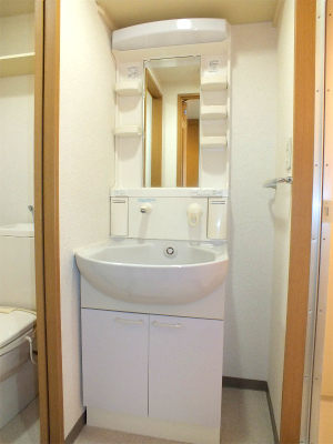 Washroom. Bathroom vanity