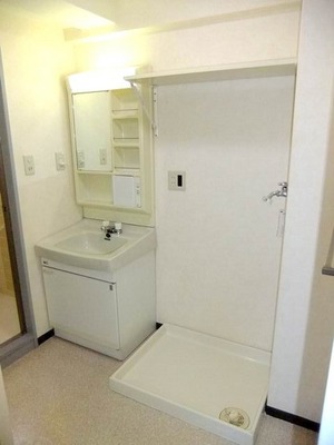 Washroom. Vanity and Laundry Area