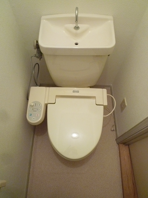 Toilet. Washlet with function