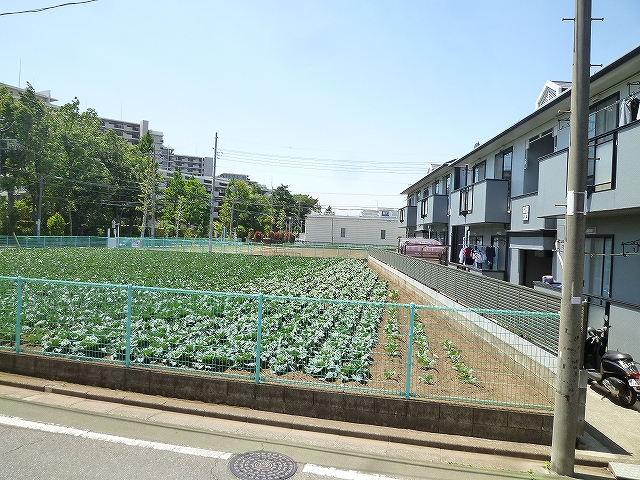 View. Around there are many green environment