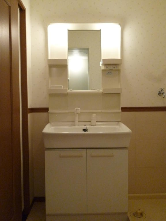 Washroom. Bathroom Vanity