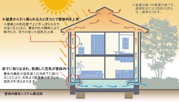 Other. It was realized the longevity of the house on the wall inside the body ventilation system