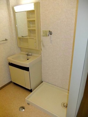 Washroom. Vanity and Laundry Area