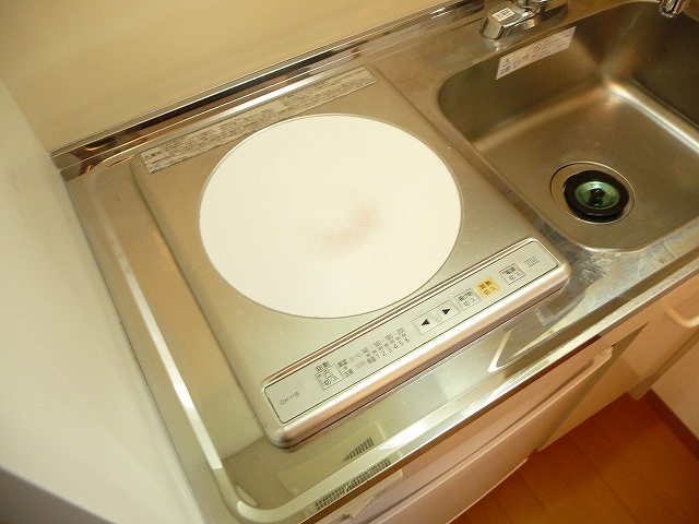 Kitchen. Ecology in the all-electric