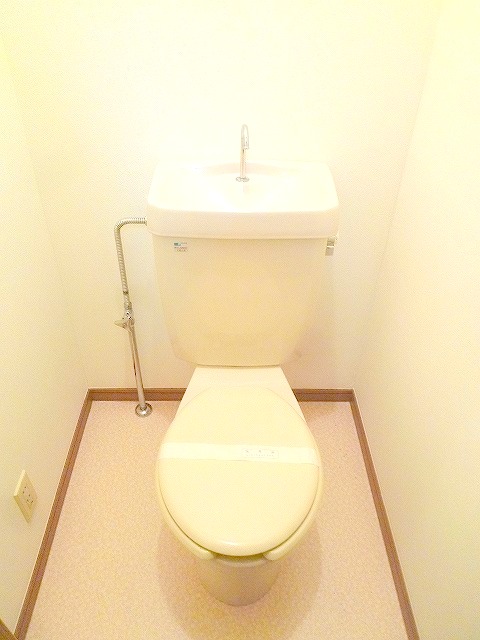 Toilet. Toilet