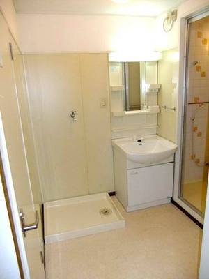 Washroom. Vanity and Laundry Area