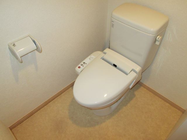 Toilet. Wide loft is attractive