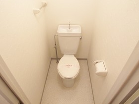 Toilet. The same property reference photograph