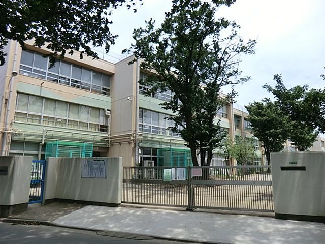 Primary school. Hasidic until elementary school 175m Hasidic elementary school