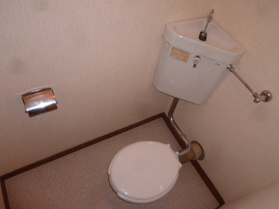 Toilet. Toilet (reference photograph of another in Room)