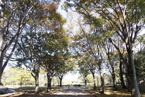 park. Johoku to Central Park 560m