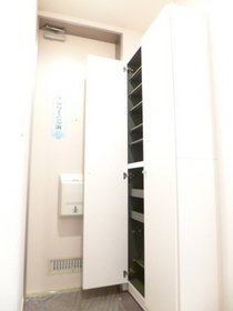 Entrance. Shoes BOX