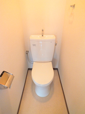 Toilet. Toilet with cleanliness