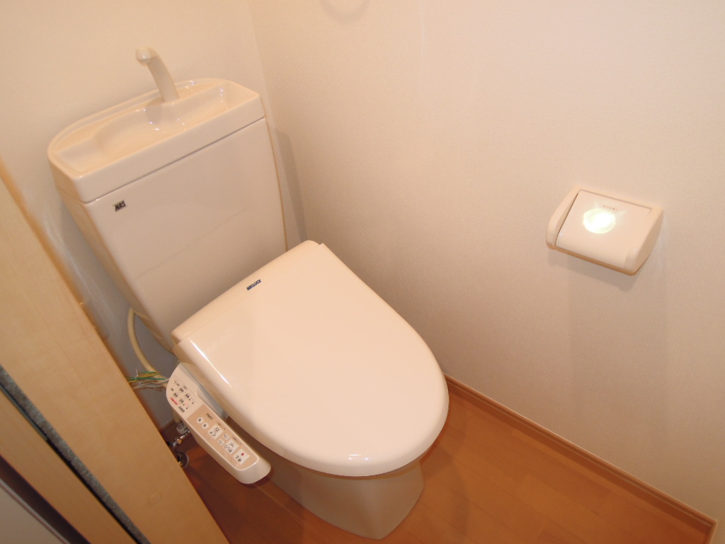 Toilet. With hot cleaning function