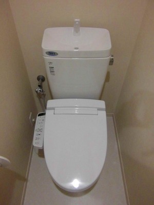 Toilet. Warm water washing toilet seat