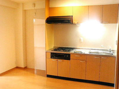 Kitchen. System kitchen