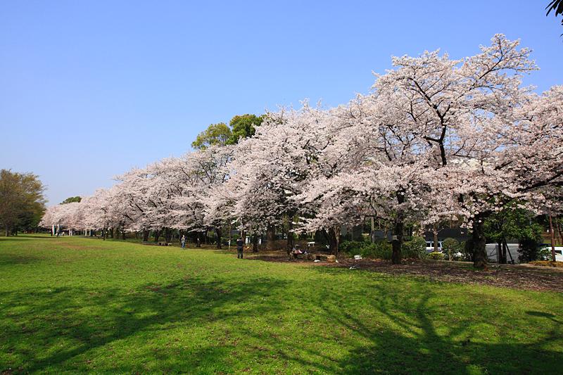 Other. Akatsuka Park