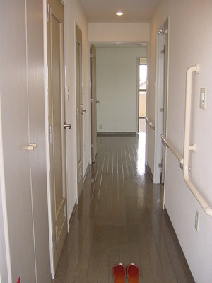 Entrance. Corridor