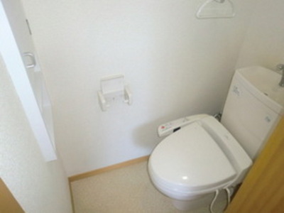 Toilet. Cleaning function with toilet seat